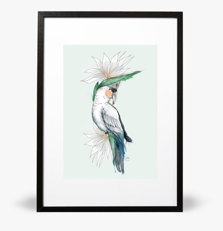 Bird Of Paradise Illustrative Print, HD Png Download