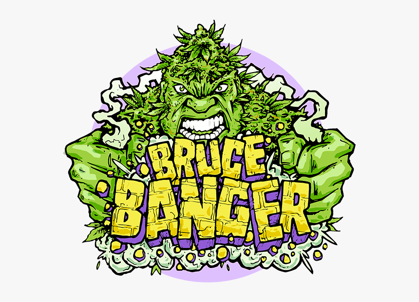 Bruce Banger Fast Feminised Seeds 
 Title Bruce Banger, HD Png Download