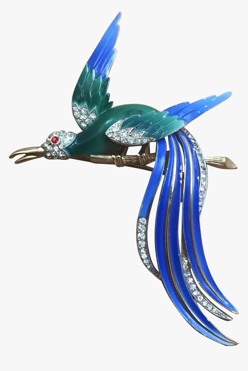 Bird Of Paradise Png, Transparent Png