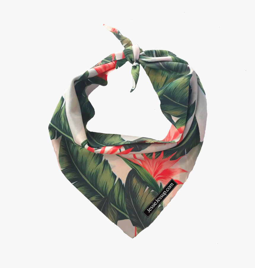 Bird Of Paradise Png, Transparent Png