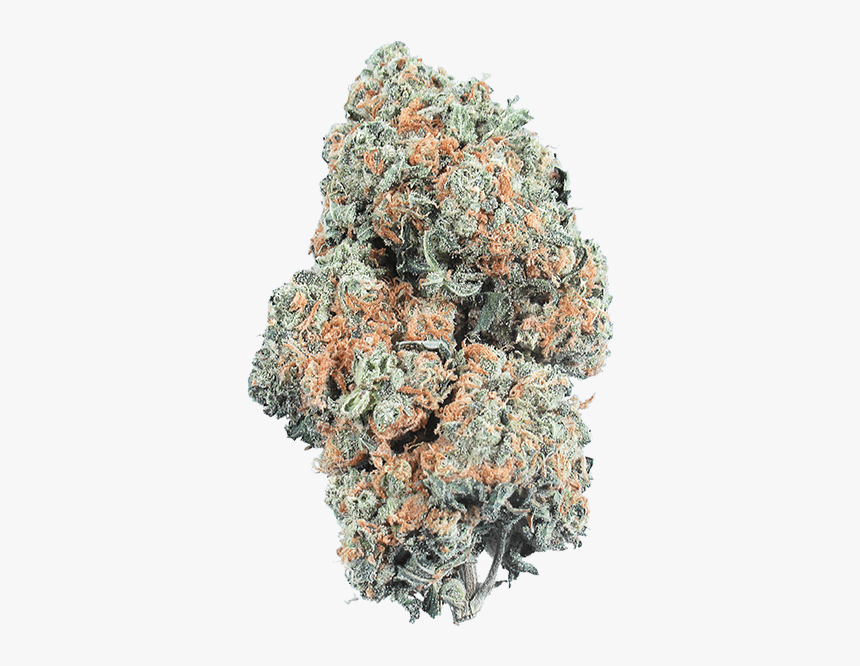 Bruce Banner Png, Transparent Png