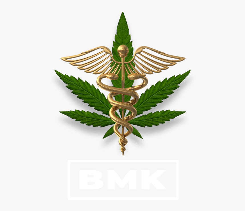 Bruce Banner Png, Transparent Png