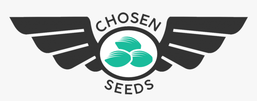 Buy Cannabis Seeds Chosen Seeds Delivered To Your Door, HD Png Download