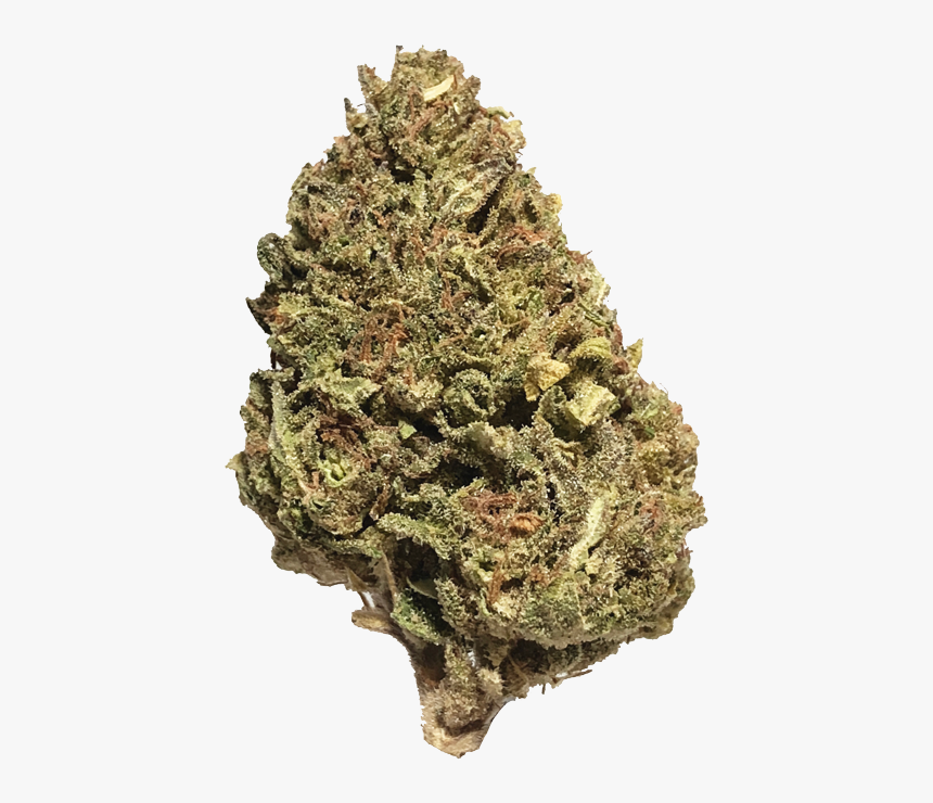 Bruce Banner Png, Transparent Png