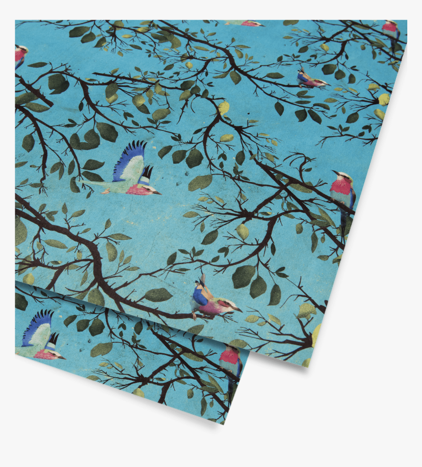 Turquoise Holler Bird Gift Wrap, HD Png Download