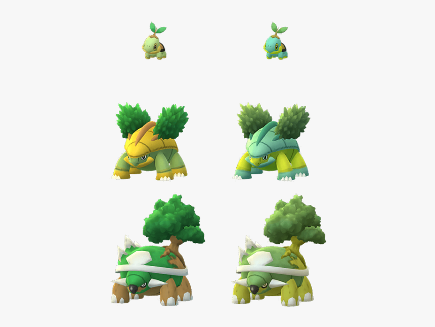 Turtwig Png, Transparent Png