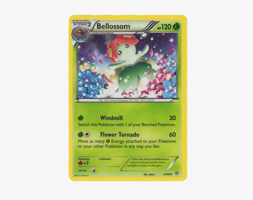 Turtwig Png, Transparent Png