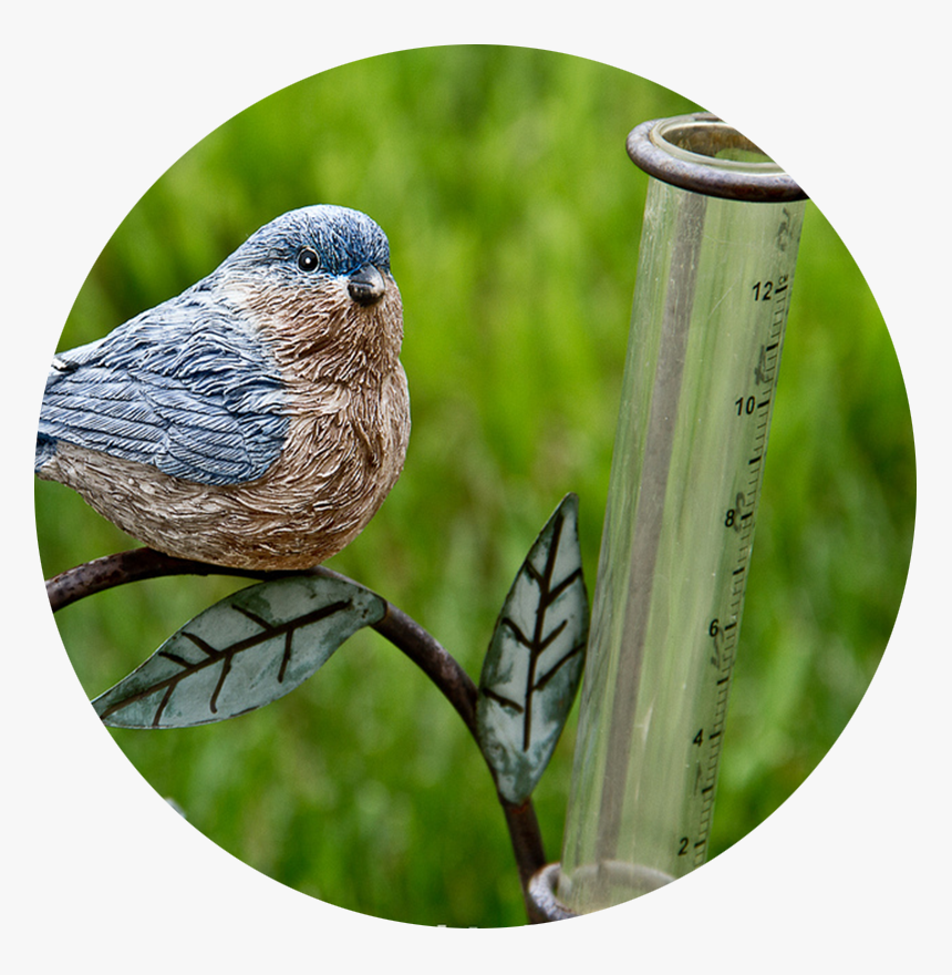 Thumbtacks Png, Transparent Png