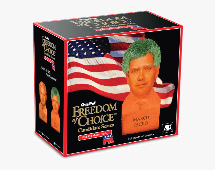 Bernie Sanders Head Png, Transparent Png