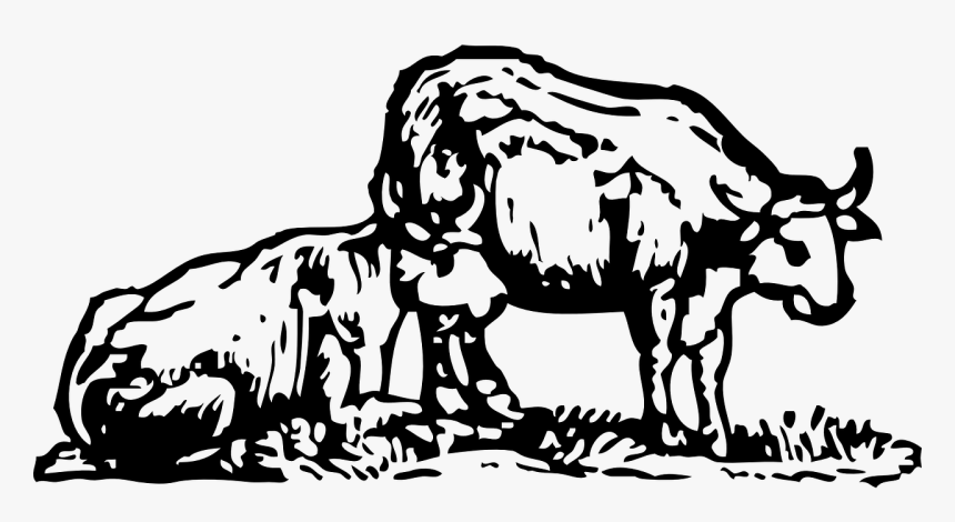 Ox Png, Transparent Png