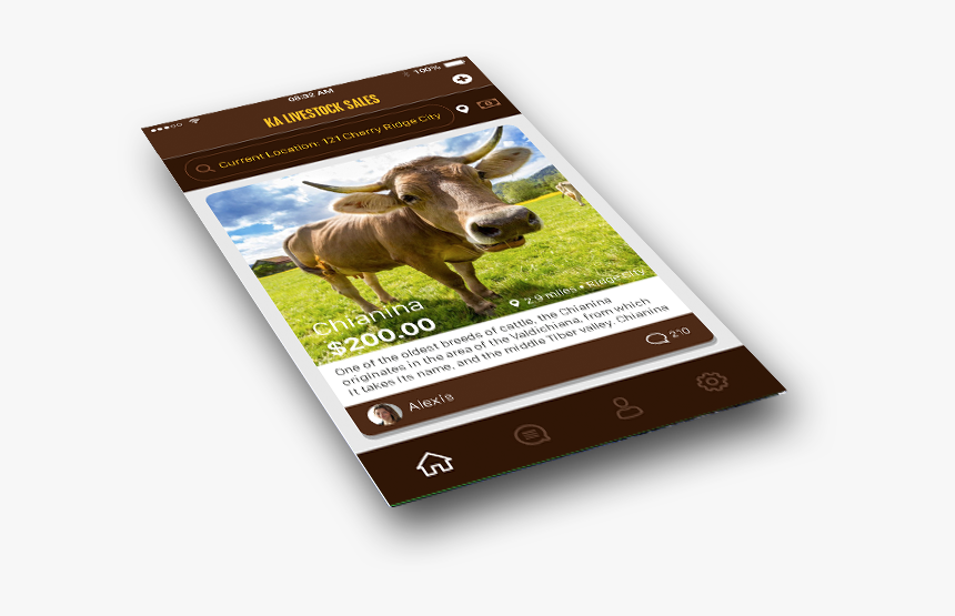 Transparent Indian Ox Png, Png Download