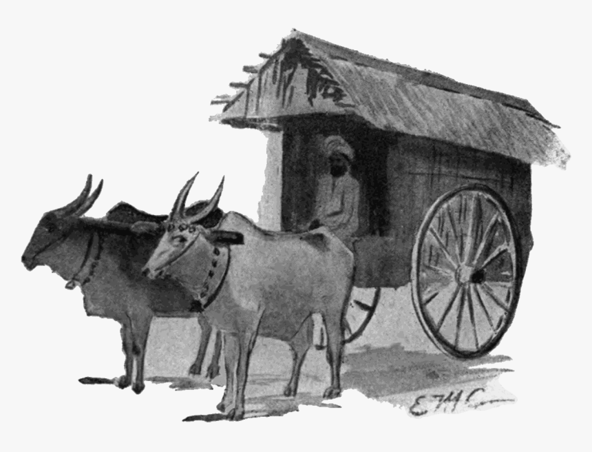 Ox Drawn Covered Wagon, HD Png Download