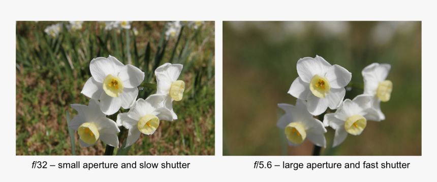 Camera Aperture Png, Transparent Png