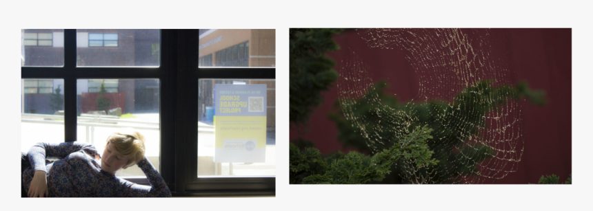 Picture, HD Png Download