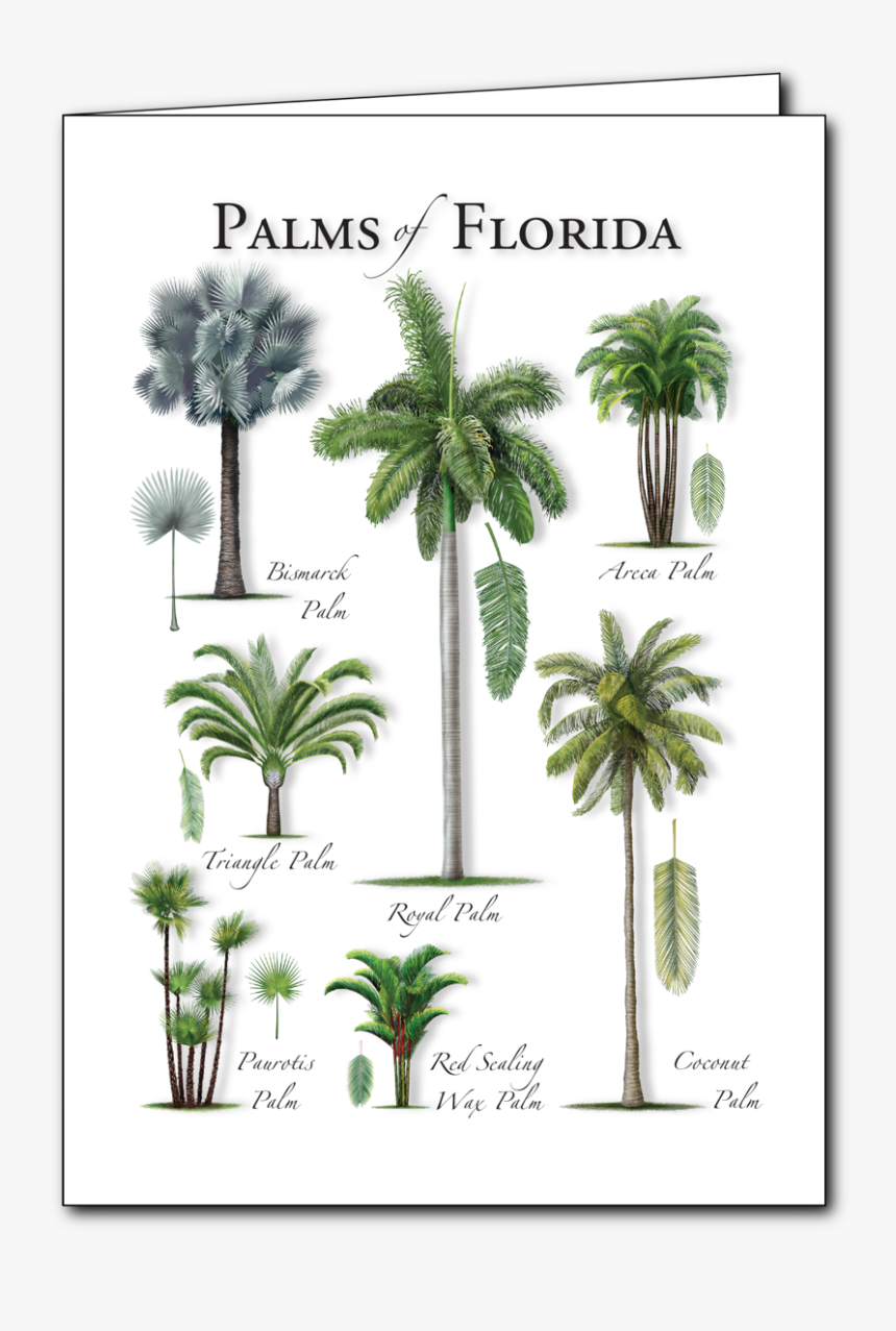 Blank Wax Seal Png, Transparent Png