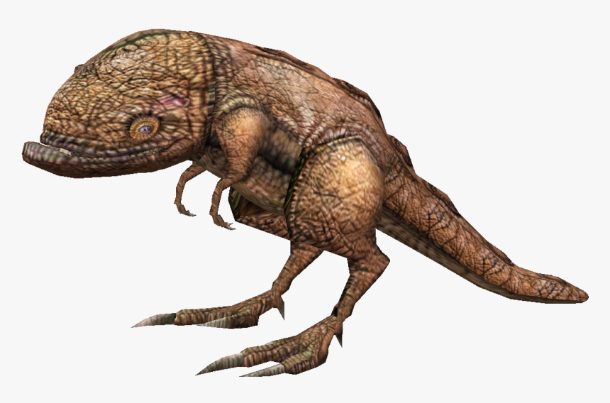 Elder Scrolls Online Png, Transparent Png