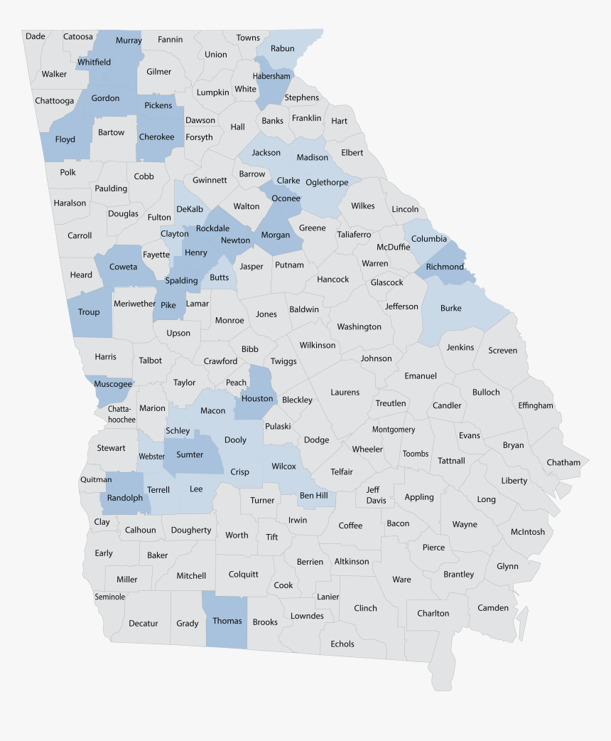 Label Vector Png, Transparent Png