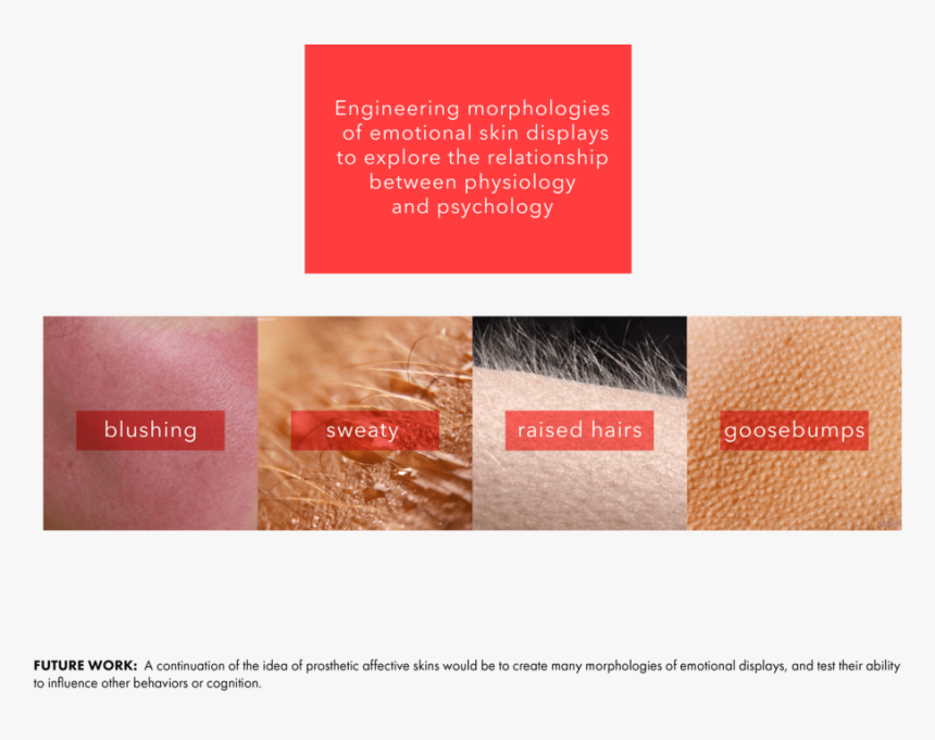 Final Final Final Final Real Real251, HD Png Download