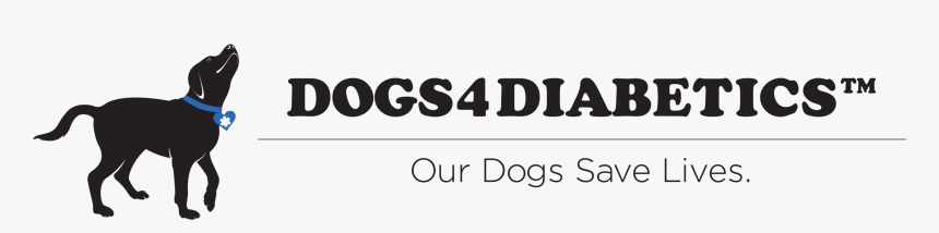 Promoting Successful Working Teams For The Lives Of, HD Png Download