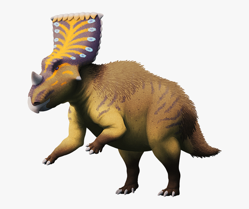 Tumblr Ove2e85m3e1s5f2yxo1 1280, HD Png Download