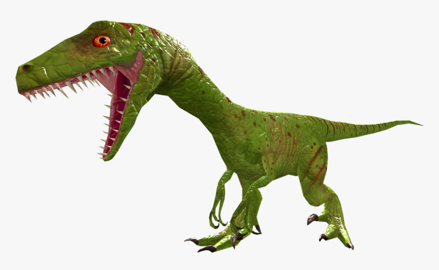 Samfacestub, HD Png Download