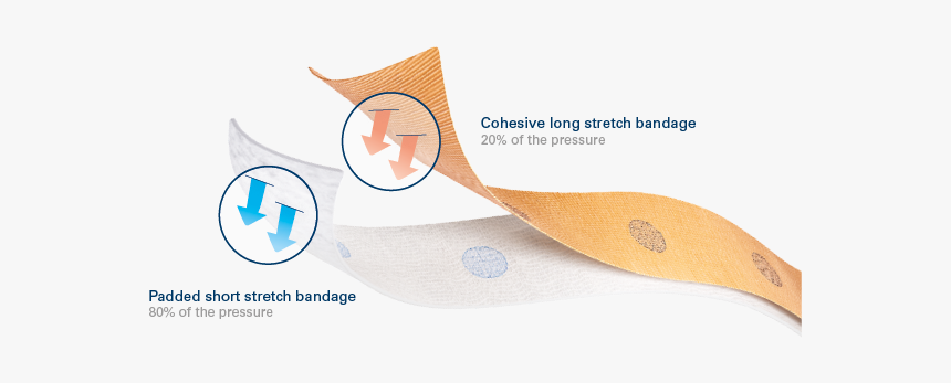 Bandages Png, Transparent Png