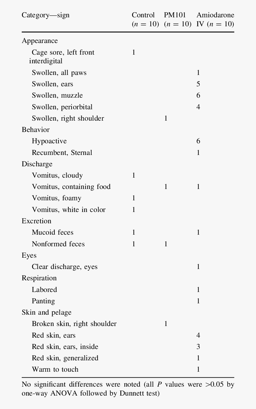One Way Sign Png, Transparent Png