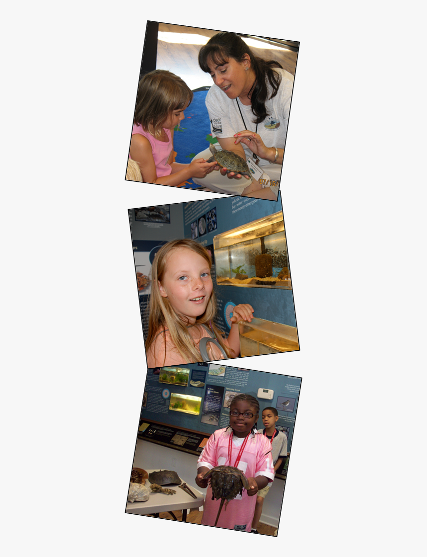 Photo Collage Png, Transparent Png