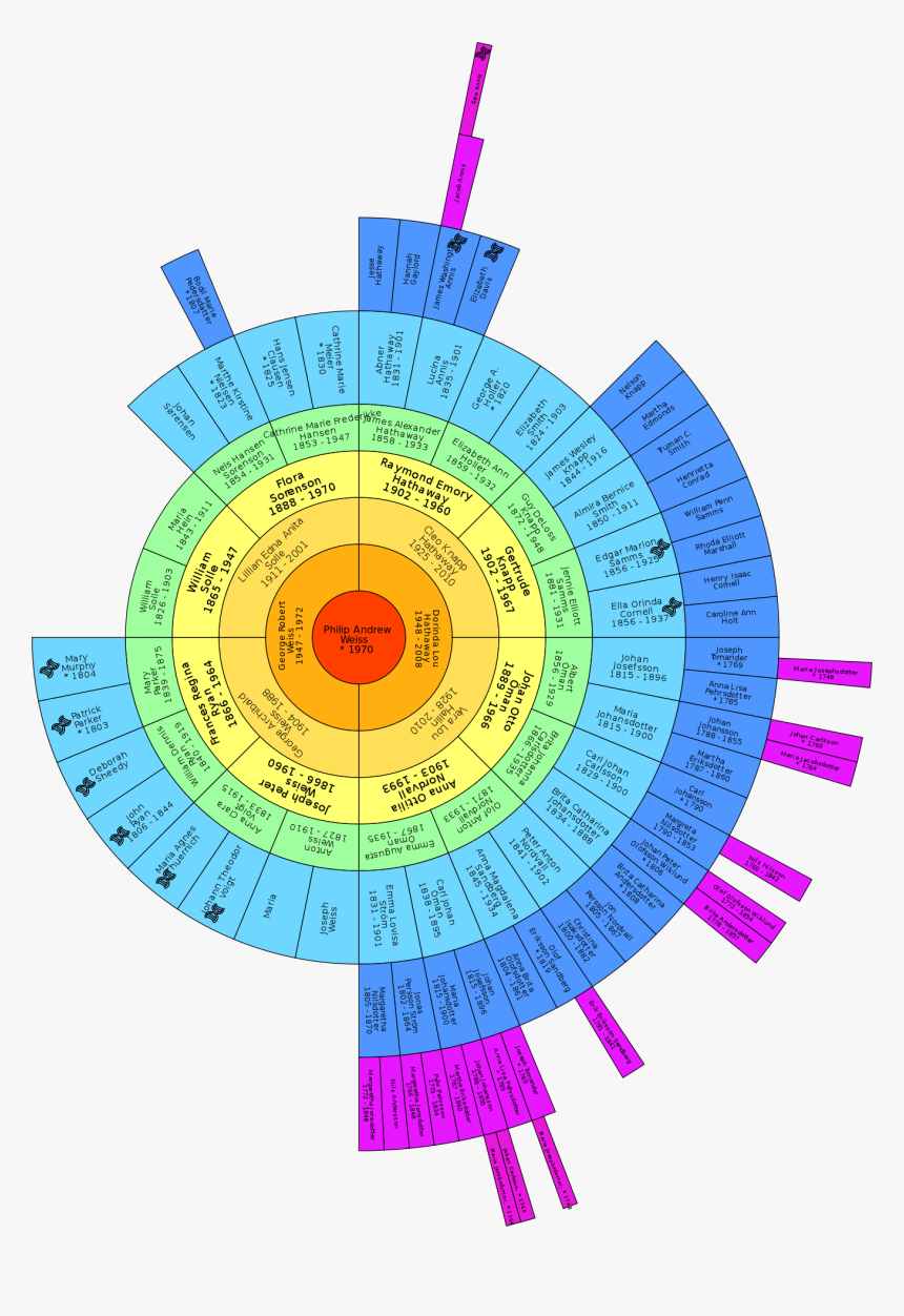 The Big Tree Fan Chart With Dna Matches Marked, HD Png Download