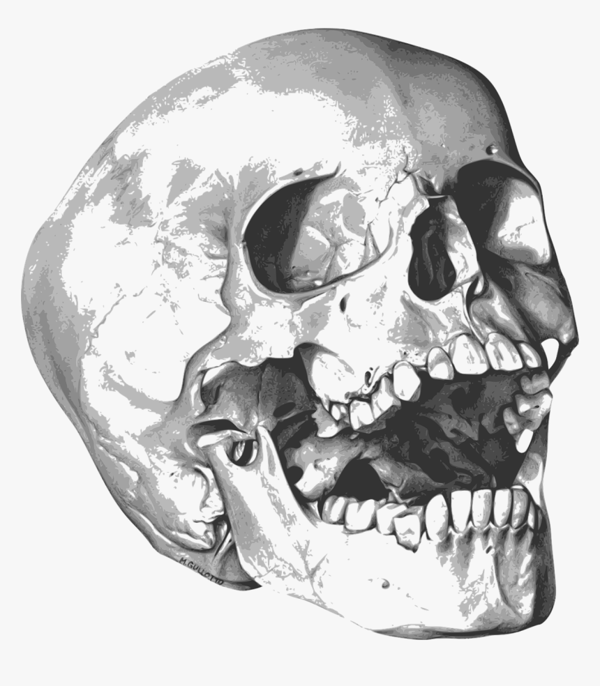 Halloween Skeleton Png, Transparent Png