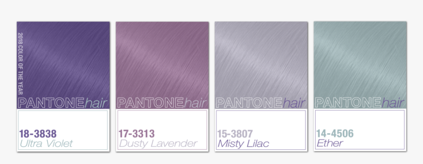 Front Image 04, HD Png Download