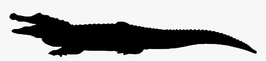 Crocodile Animal Silhouette Free Photo, HD Png Download