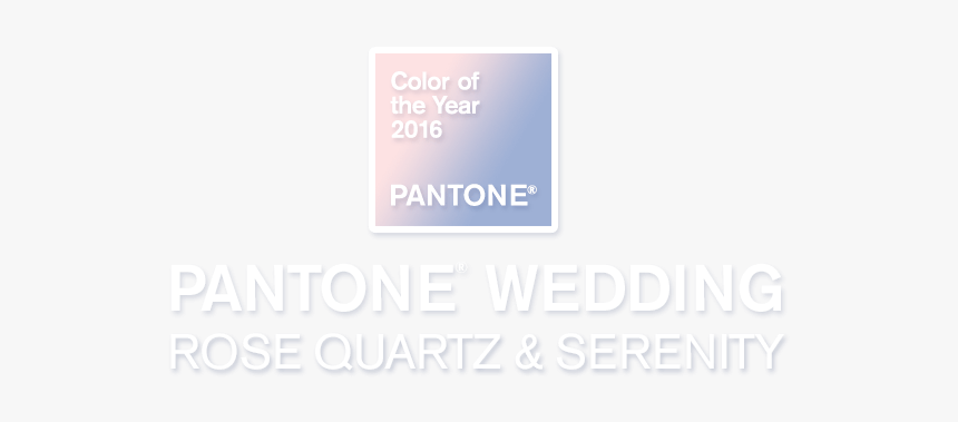 Pantone Png, Transparent Png