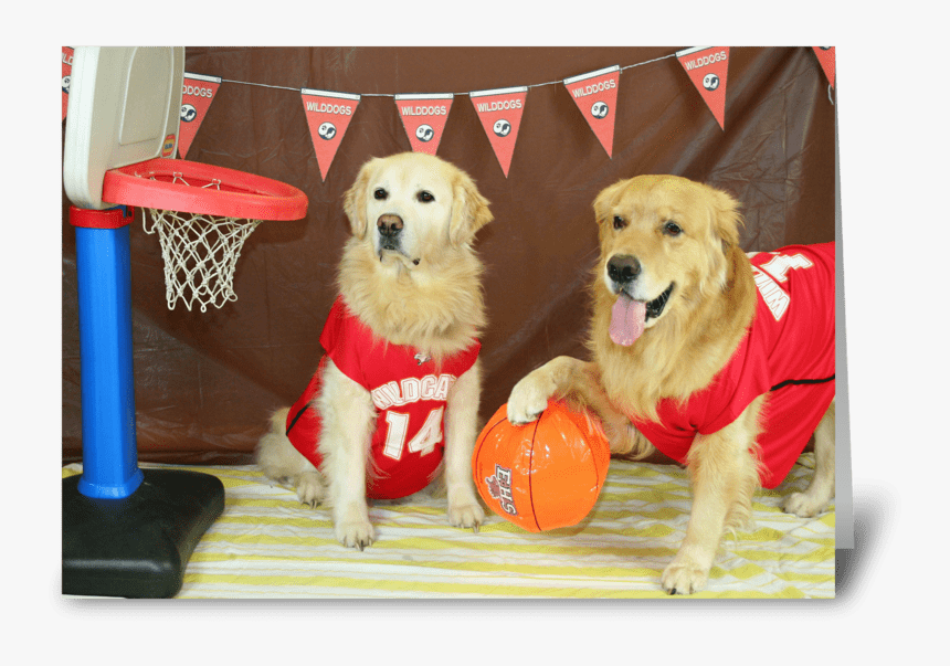 A Slam Dunk Birthday Greeting Card, HD Png Download