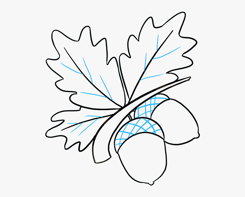 How To Draw Acorns, HD Png Download