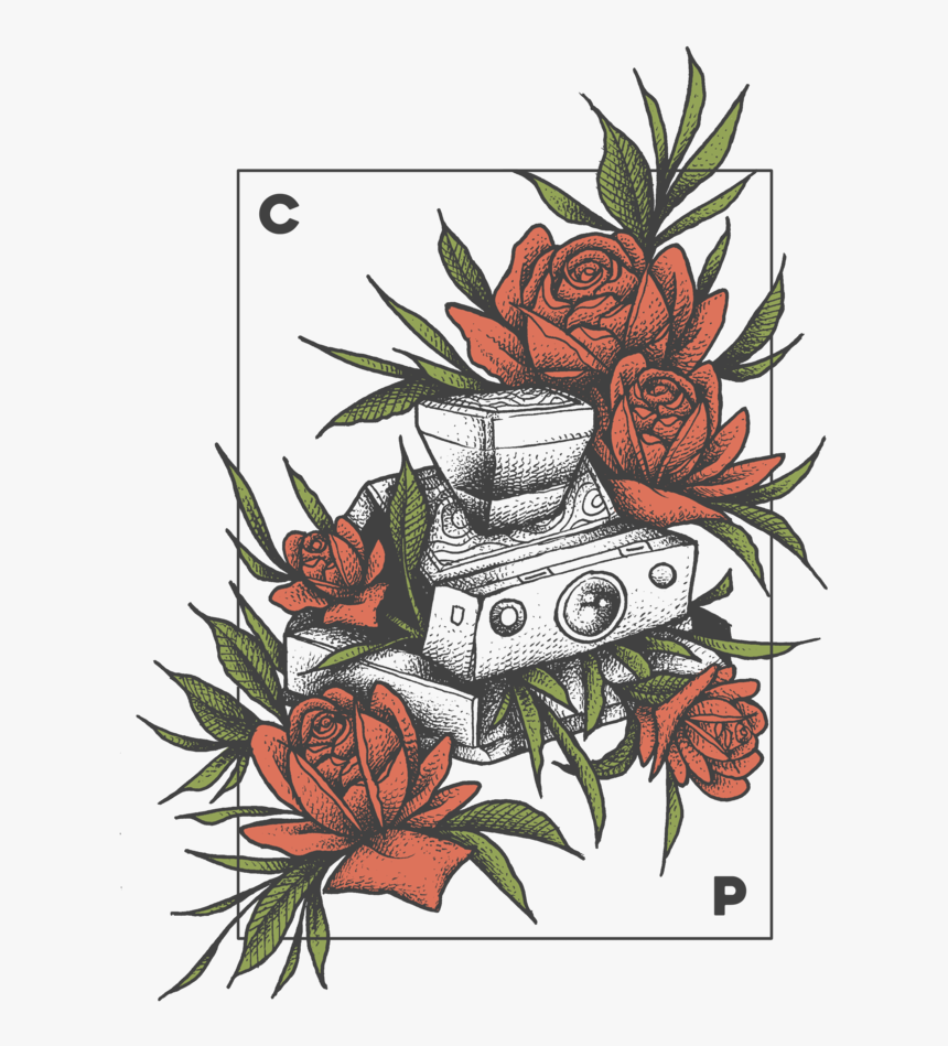 Transparent Cotton Plant Png, Png Download