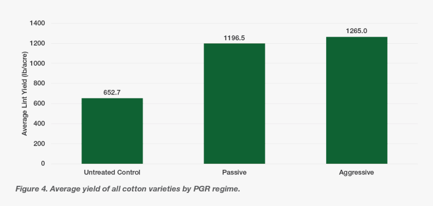 Cotton Plant Png, Transparent Png