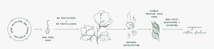 Organic Cotton Fabric, HD Png Download