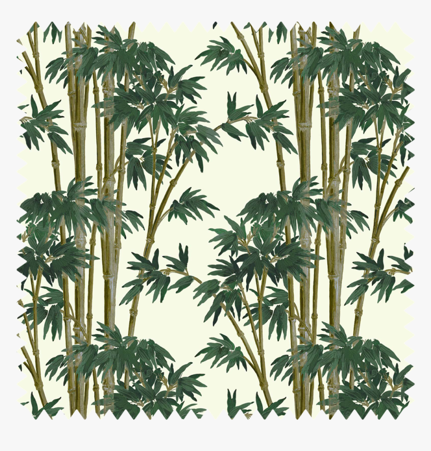 Cotton Plant Png, Transparent Png