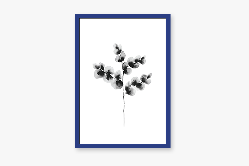 Cotton Plant Png, Transparent Png