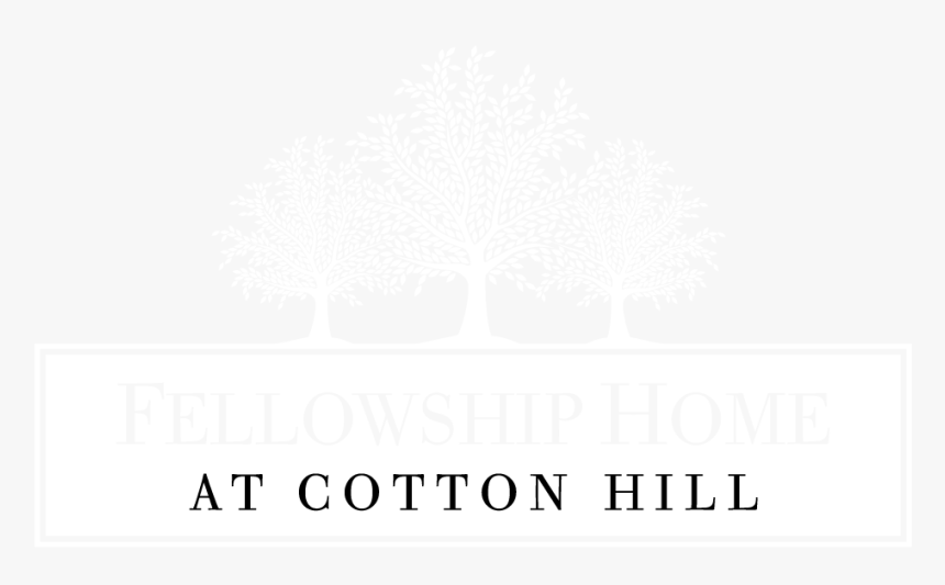 Cotton Plant Png, Transparent Png