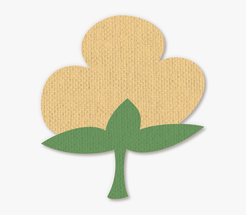 Cotton Plant Png, Transparent Png