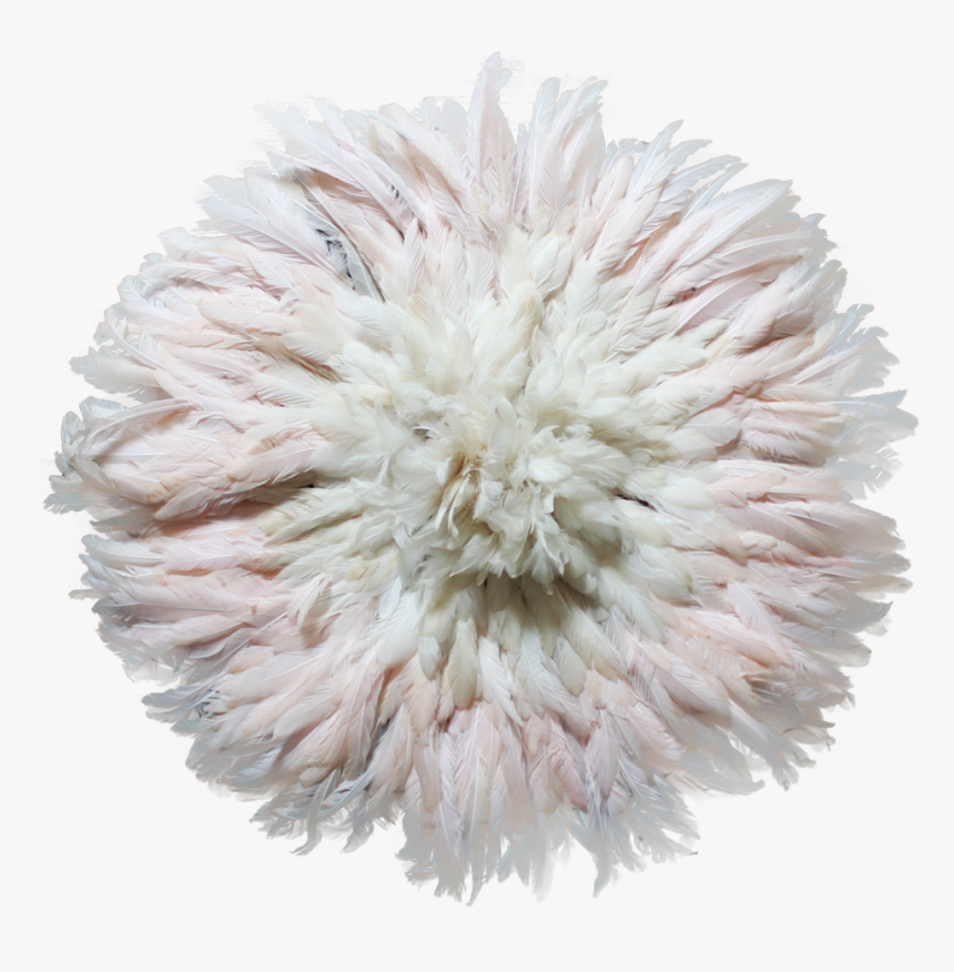 Cotton Plant Png, Transparent Png