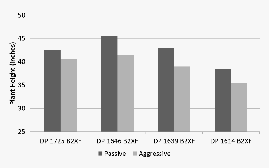 Average Plant Height For Each Cotton Variety And Treatment, HD Png Download