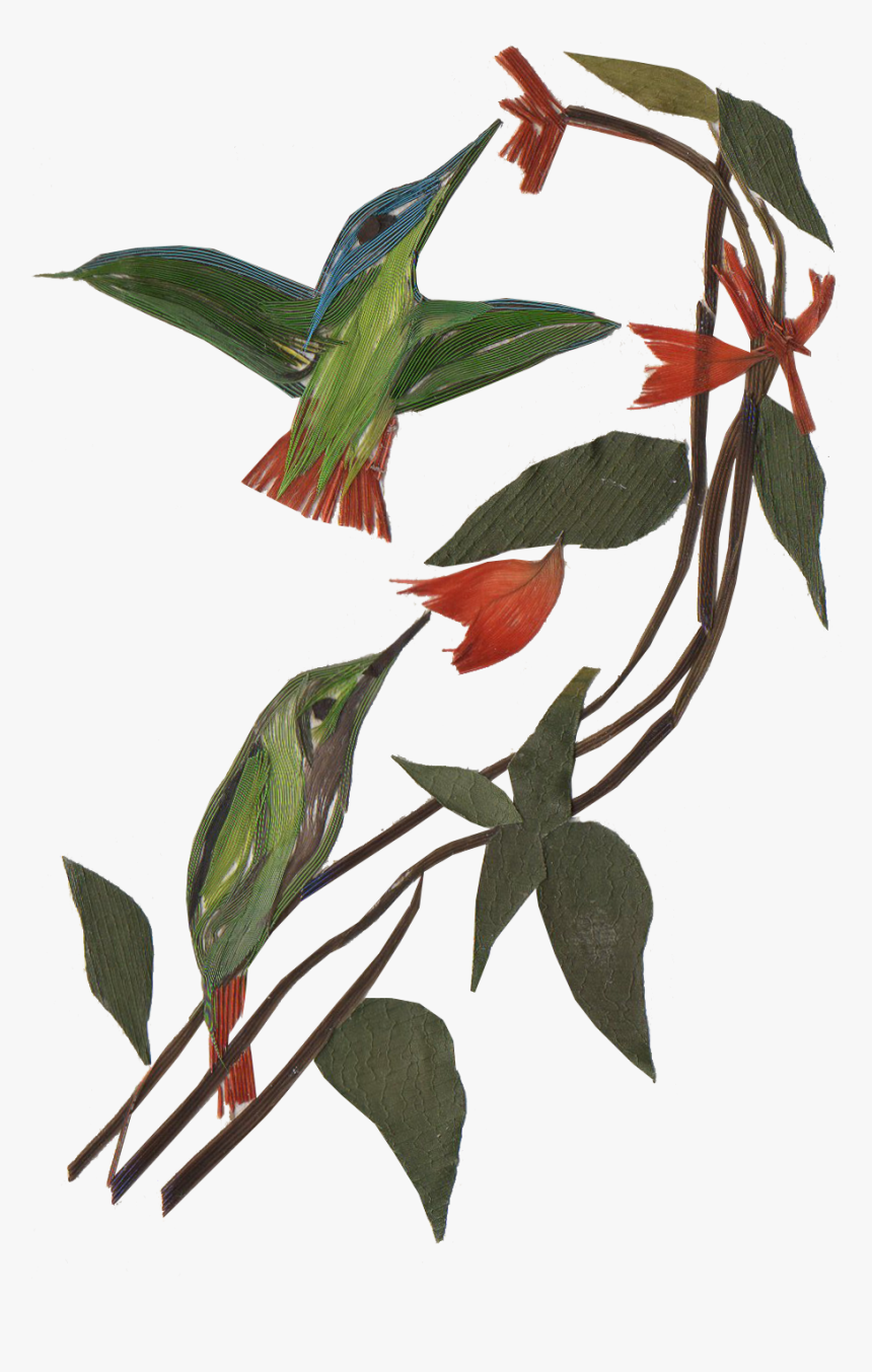 The Scent Of The Forest, HD Png Download