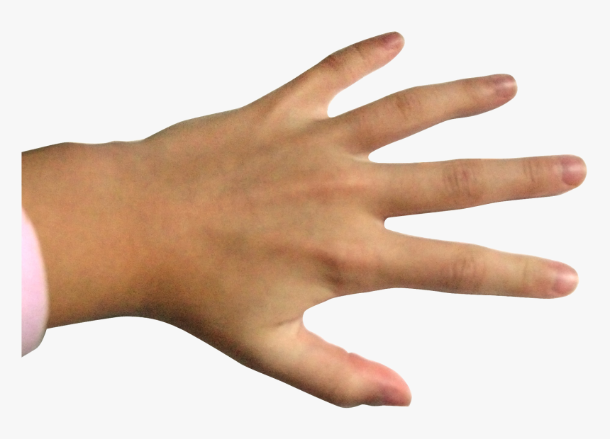 Fingers Png Photo Background, Transparent Png