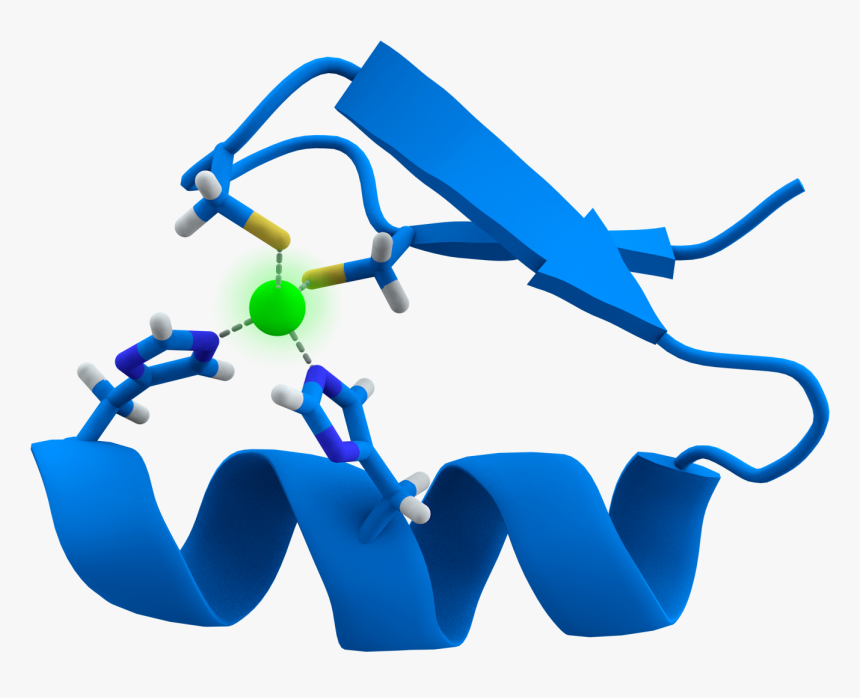 Zinc Finger Rendered, HD Png Download