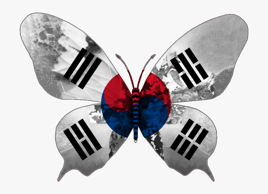 Butterfly .png, Transparent Png