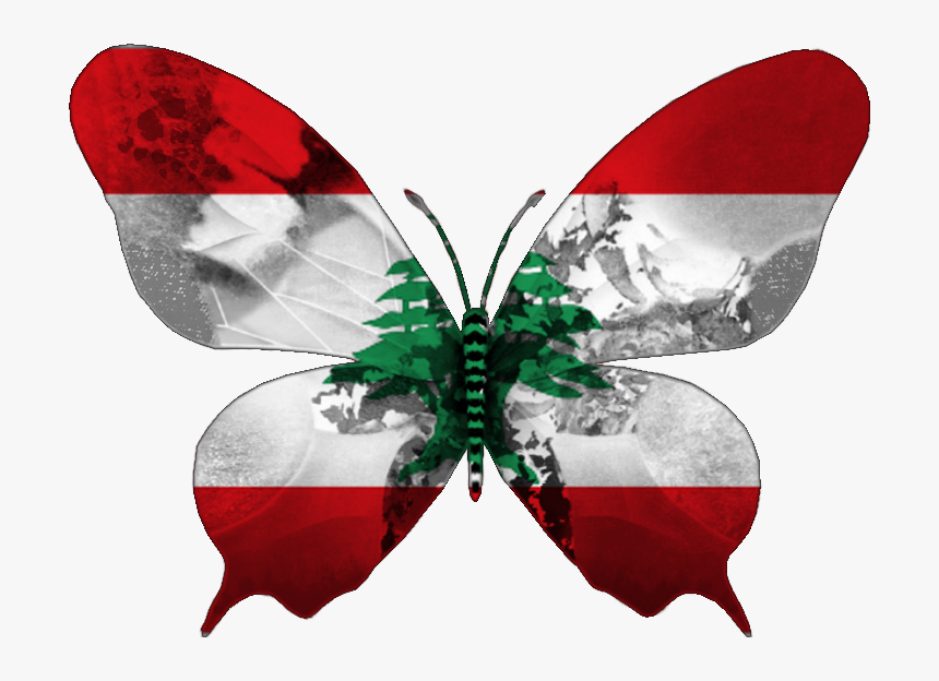 Butterfly .png, Transparent Png