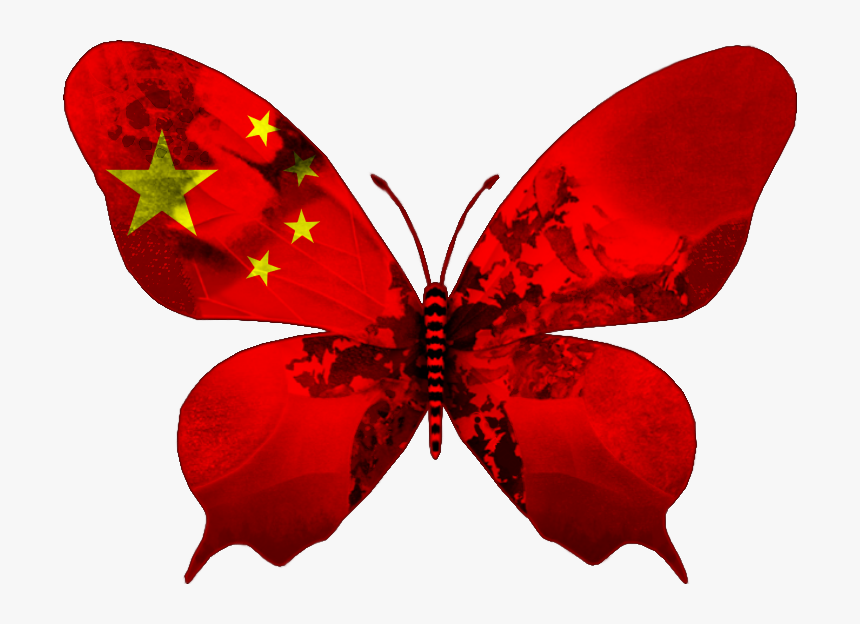 Transparent Butterfly, HD Png Download